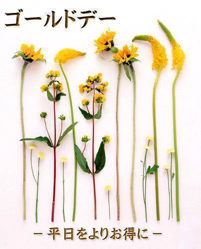 4月　ゴールドデー